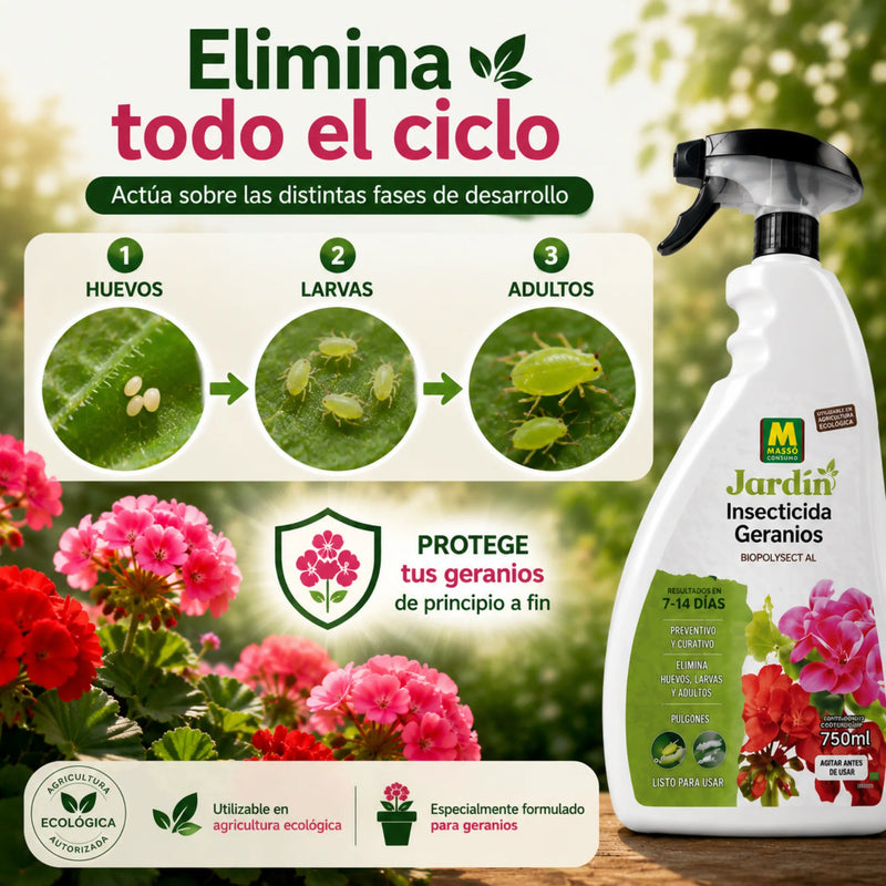 Tratamiento listo para usar en geranios con acción preventiva y curativa contra Pulgones, Araña Roja y Cochinillas