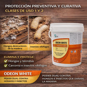 Tratamiento preventivo y curativo con Odeon White para madera interior y estructural