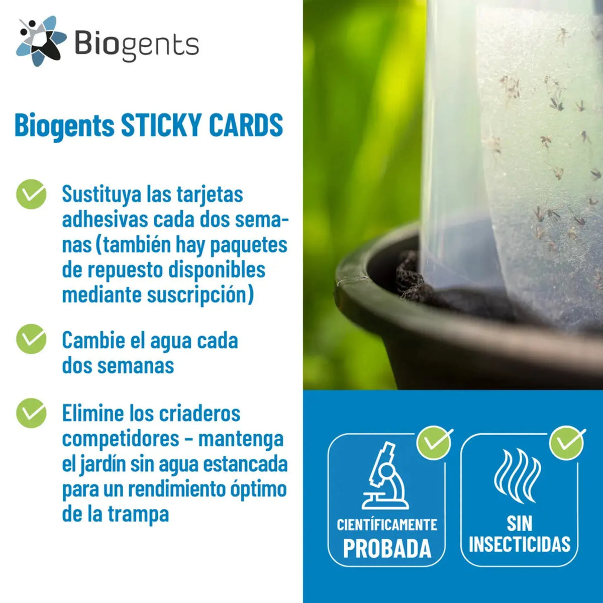 Pack 10 unidades recambios adhesivos para mantener la eficacia de la trampa BG-GAT