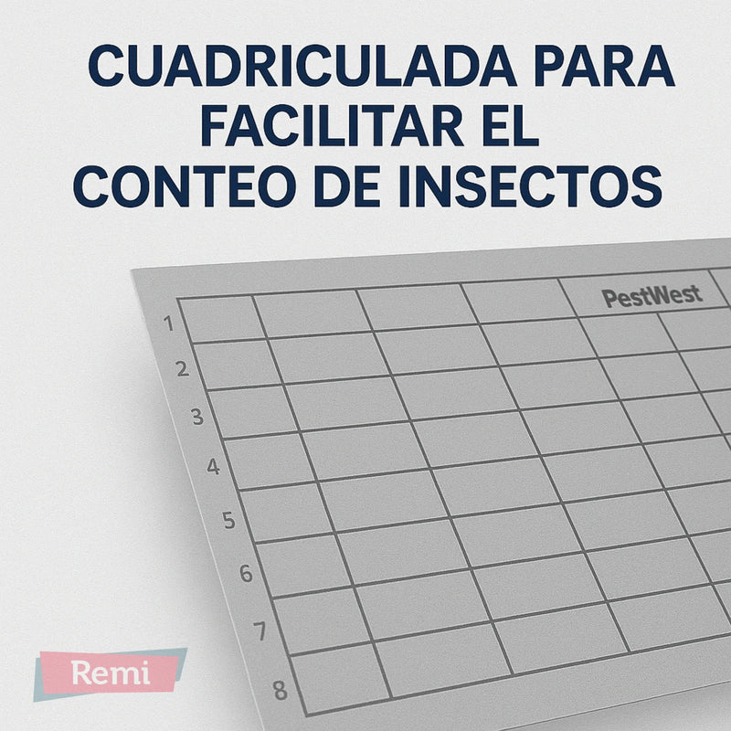 Tabla Adhesiva Chameleon Qualis IP - PestWest - Remi Hogar