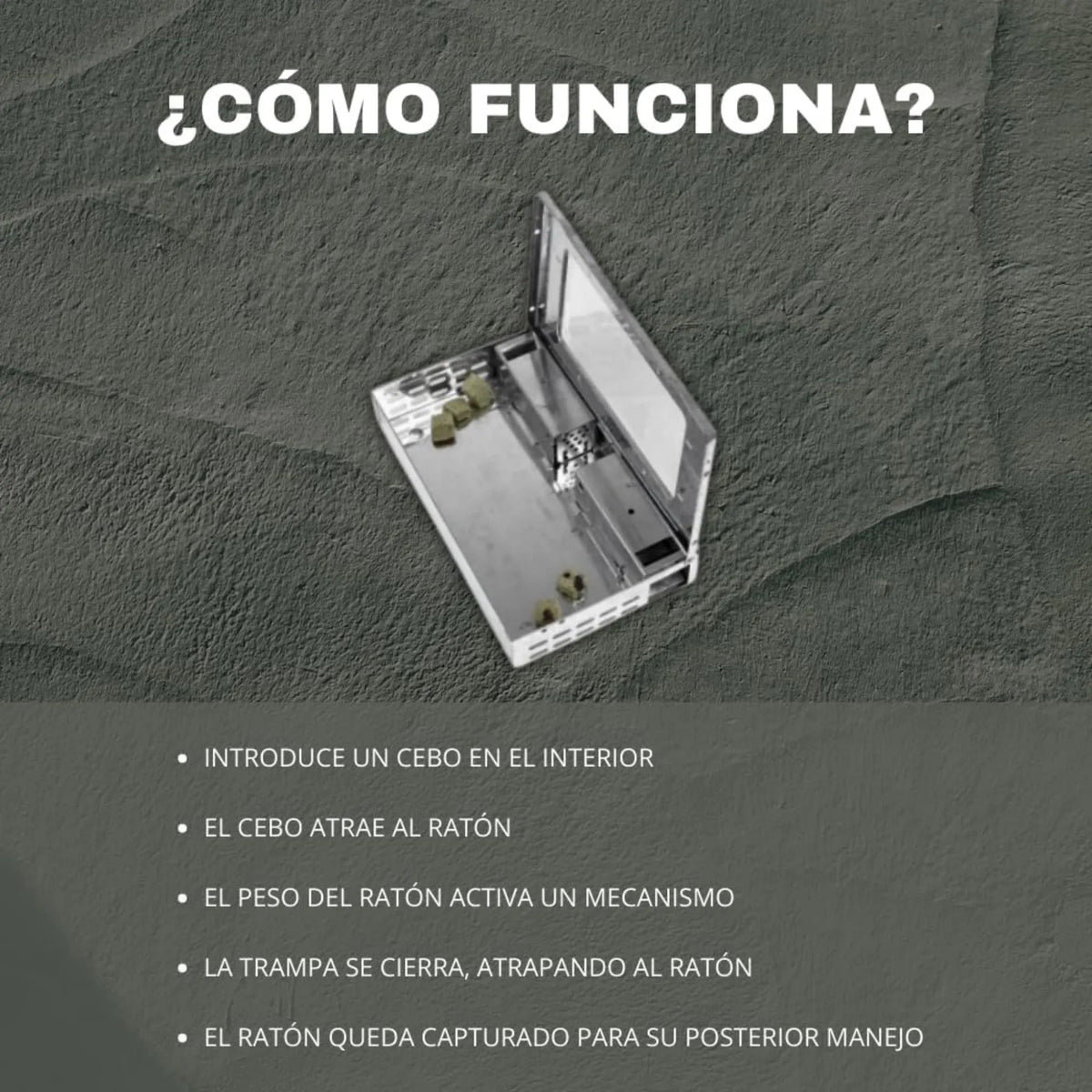 Trampa Metal Ratón - Remi Hogar - Remi Hogar