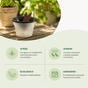 Trampa larvas mosquitos Aqualab ecológica para jardines, terrazas e interiores