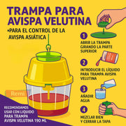 Trampa para capturar Avispa Asiática Velutina - Masso - Remi Hogar