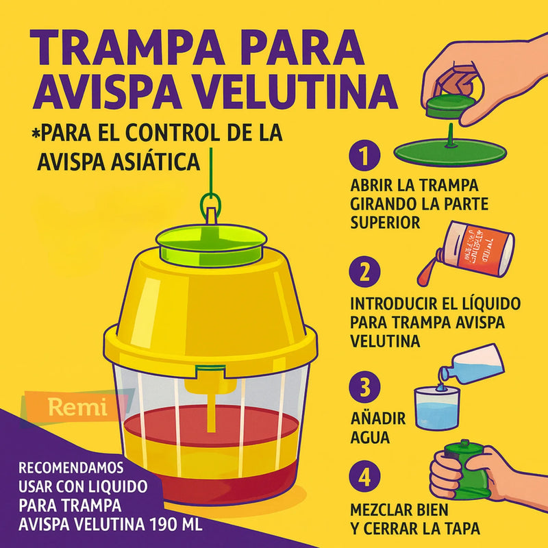 Trampa para capturar Avispa Asiática Velutina - Masso - Remi Hogar