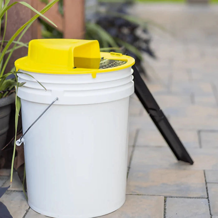 Trampa para ratas con tapa de cubo ratas y ratones