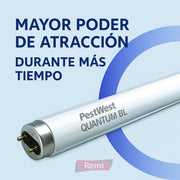 Tubo Quantum BL UV - 25W T8 45 cm - Remi Hogar