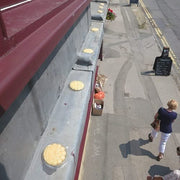 Repelente de Pájaros y Aves - Bird Free - Remi Hogar