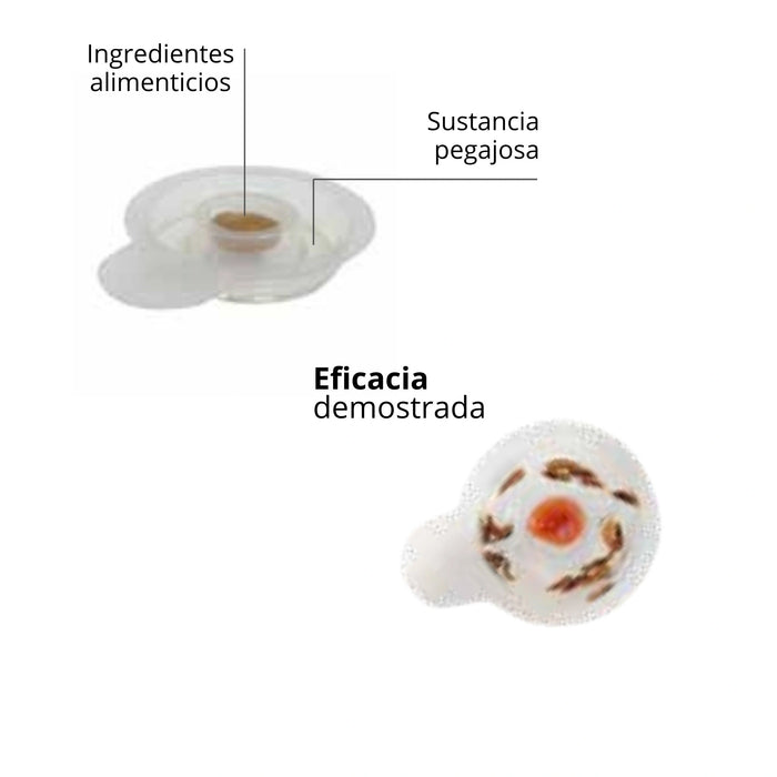 Trampa para pececillos de plata ECOGEL - Novar