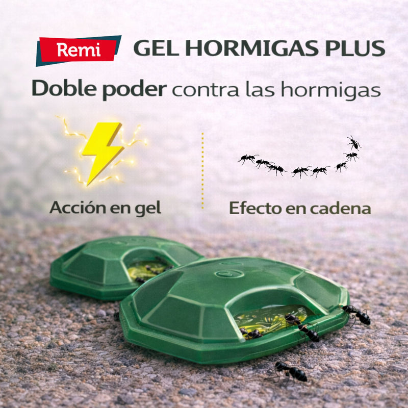 Pack 4 Trampas Gel Hormigas Plus - Remi Hogar - Remi Hogar