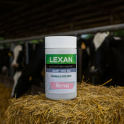 Cebo mosquicida granulado - Lexan AMP 100 SG - Remi Hogar