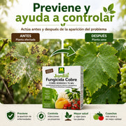 Preben Nordox WG fungicida de cobre para la protección integral de cultivos