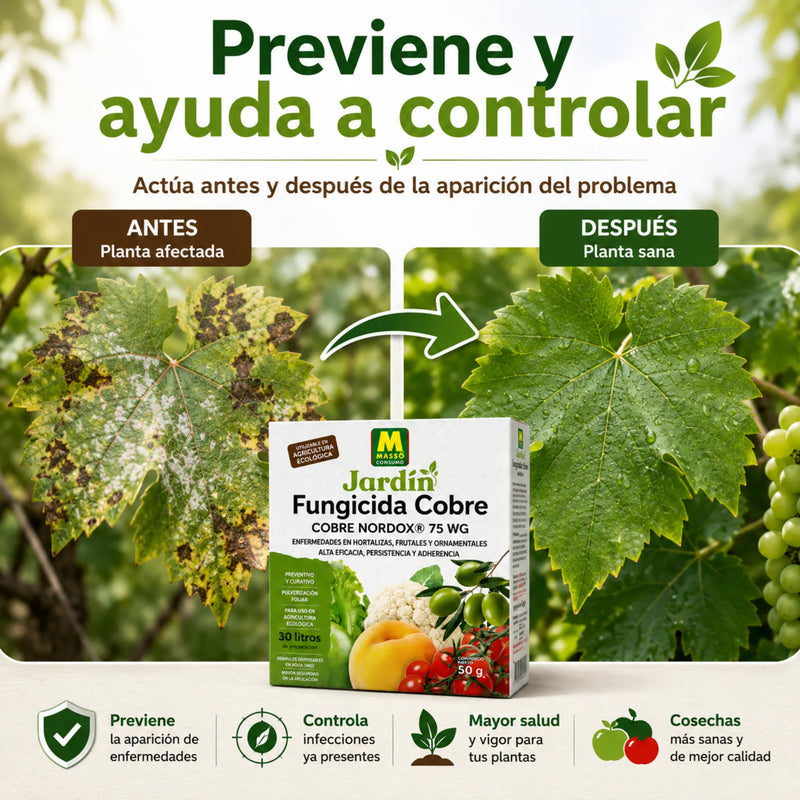 Preben Nordox WG fungicida de cobre para la protección integral de cultivos