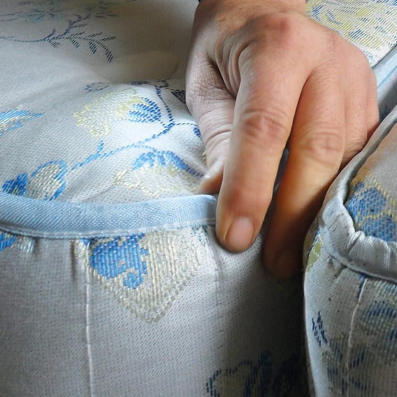 Vaporeta Cimex Eradicator Anti Chinches e Insectos - Polti - Remi Hogar