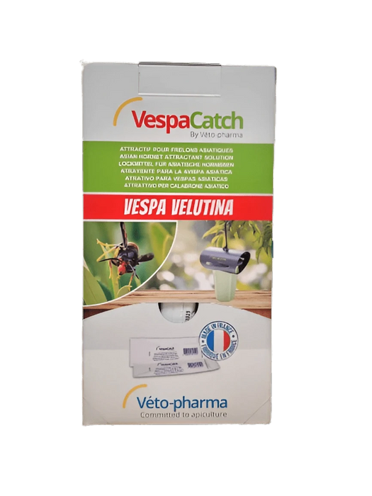 Vespa Velutina atraente - VespaCatch