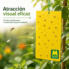 Trampas adhesivas de doble cara sin insecticidas ni biocidas 10 unidades Preben Jardín