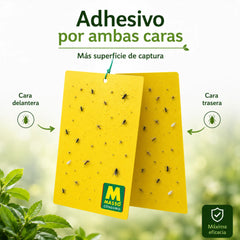 Trampas adhesivas de doble cara sin insecticidas ni biocidas 10 unidades Preben Jardín