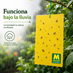Trampas adhesivas de doble cara sin insecticidas ni biocidas 10 unidades Preben Jardín