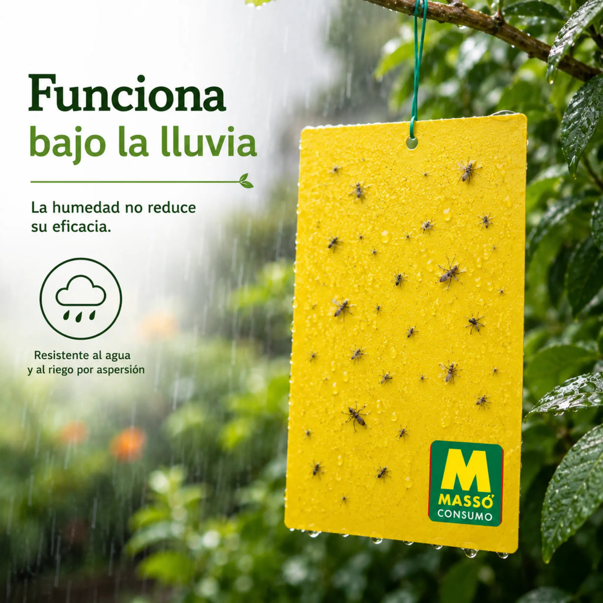 Trampas adhesivas de doble cara sin insecticidas ni biocidas 10 unidades Preben Jardín