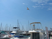 Eolo Halcón Espantapájaros - Remi Hogar