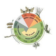 Suplementos para Collar Procesionaria - Remi Hogar