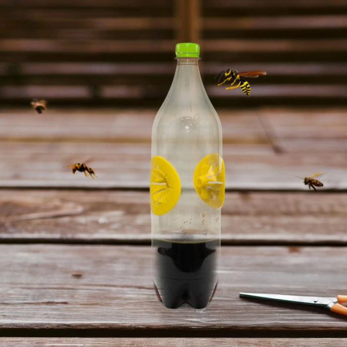 Armadilha para vespas DIY Preben - Massó