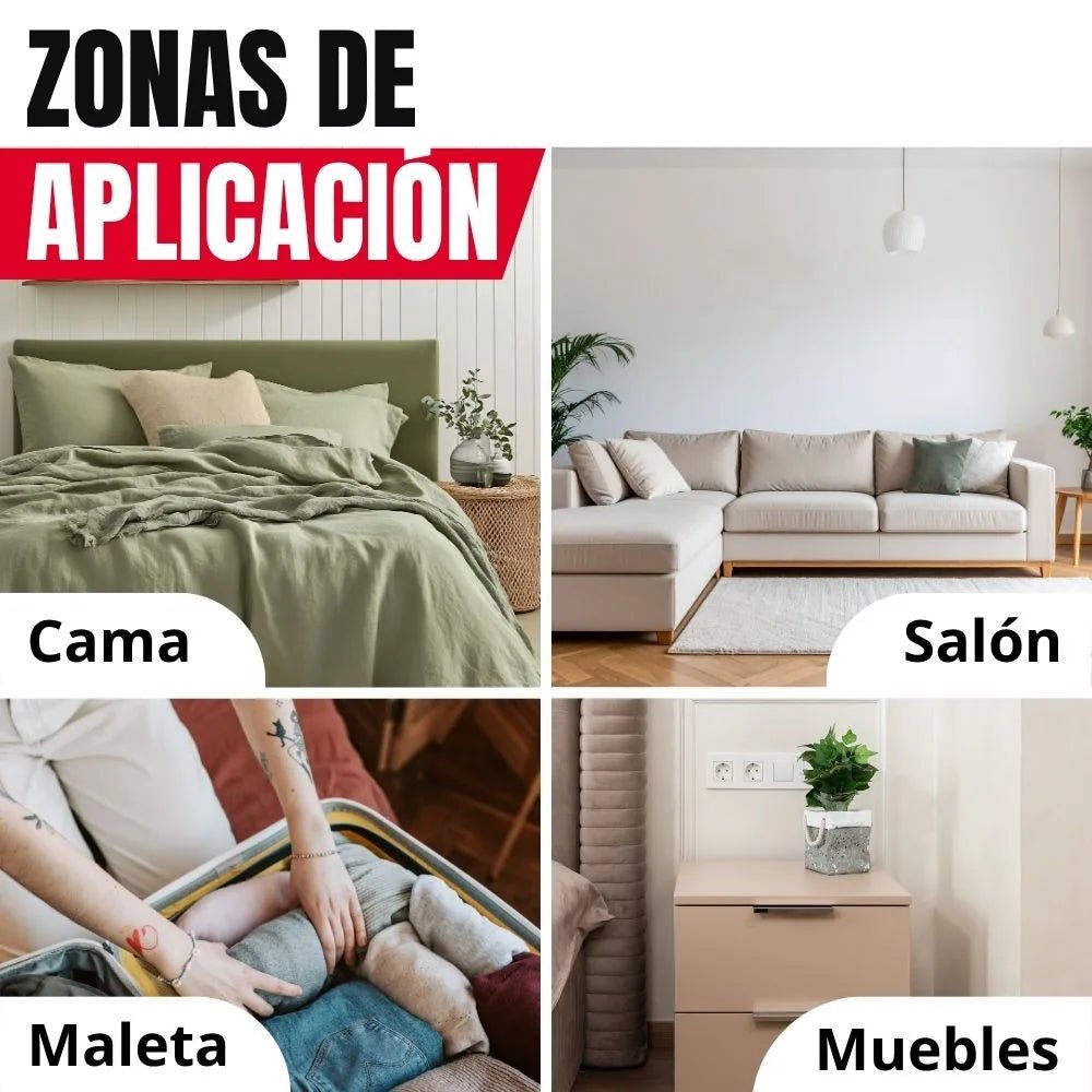Trampa de control chinches PL monitor - Remi Hogar