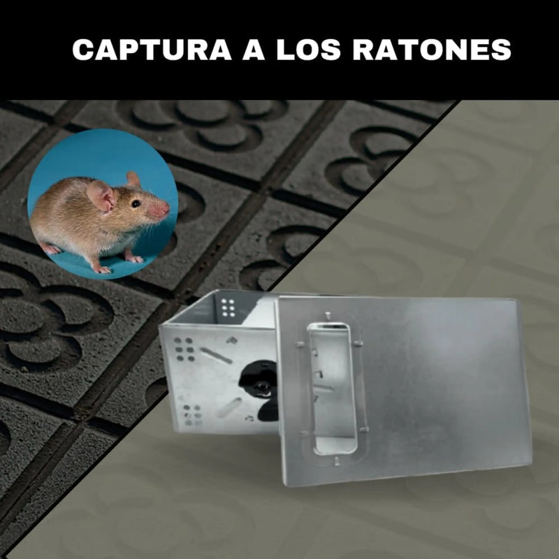 Trampa Multicaptura Para Ratones - Remi Hogar - Remi Hogar