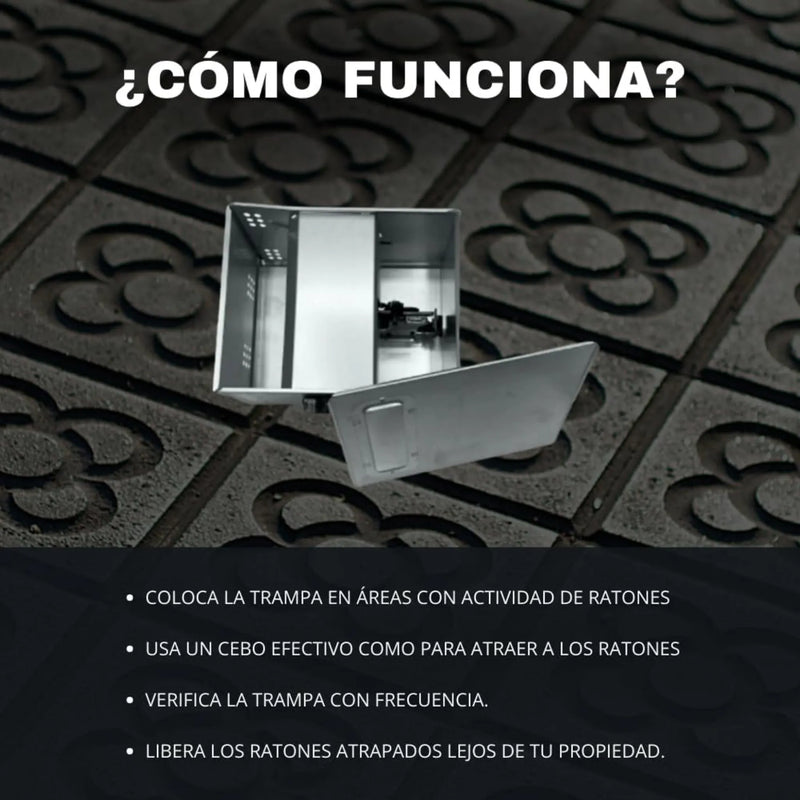 Trampa Multicaptura Para Ratones - Remi Hogar - Remi Hogar