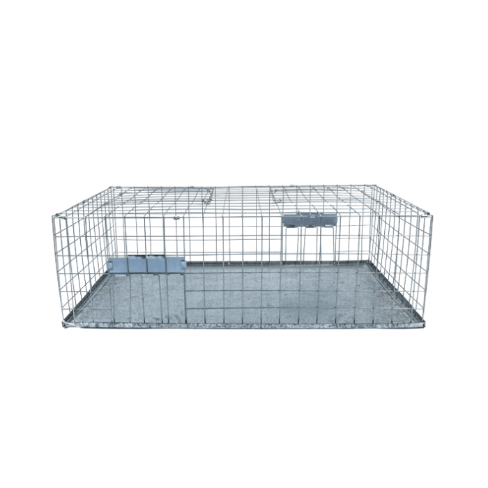 Jaula, Trampa para Palomas Plegable - Remi Hogar - Remi Hogar