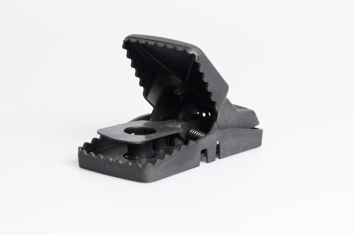 Cepo para Ratas Trapper T - Rex - Remi Hogar