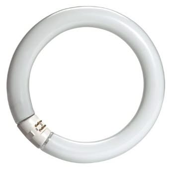 Tubo Synergetic - TGX22 - Remi Hogar