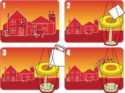 Trampa para moscas - Red Top - Remi Hogar
