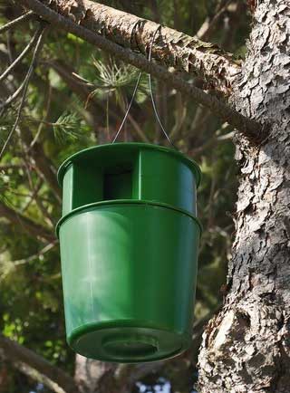 Feromona para Trampa Cubo Procesionaria - Procerex - Remi Hogar