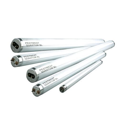 Tubo UV Quantum BL 40w T12 - PestWest - Remi Hogar